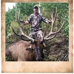 Wasatch Mtns, Bull Elk