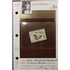 Image 3 : 1975 U.S. Department of the Interior Migratory Bird Hunting Stamp, RW#42, OG, hinged, VF, small stai