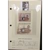 Image 3 : 2010 U.S. Department of the Interior Migratory Bird Hunting Stamp, RW#77B, Pane, not hinged, EF, Sig