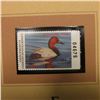 Image 2 : 2006 Alabama Waterfowl $5 Stamp depicting Canvasback Ducks, Pristine Mint condition in plastic page 