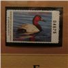 Image 4 : 2006 Alabama Waterfowl $5 Stamp depicting Canvasback Ducks, Pristine Mint condition in plastic page 