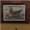 Image 4 : 2006 California Duck $14.95 Stamp depicting Greater White-fronted Goose, Pristine Mint condition in 