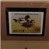 Image 4 : 2006 Kentucky Waterfowl $7.50 Stamp depicting Mallard Ducks, Pristine Mint condition in plastic page