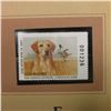 Image 2 : 2006 Louisiana Waterfowl Conservation $5.50 Stamp depicting a Yellow Lab with Mallard Ducks in backg