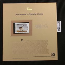 2006 Tennessee Wildlife Resources Agency Waterfowl $10.00 Stamp depicting Canada Goose, Pristine Min