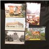Image 1 : 1961 Iowa Falls, Ia. Postcard; (7) Newton, Ia. Postcards; & a Mount Pleasant Quack Doctor Postcard.