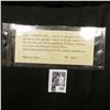Image 2 : Depression Scrip Issued Under House Enrolled Act No. 51, Regular Session of 1933 No. 10085 "Mecosta 
