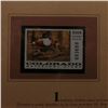 Image 2 : 2005 $5.00 Colorado Waterfowl Stamp depicting the Northern Shoveler, Absolute mint condition with li