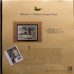 2005 $10 Illinois Migratory Waterfowl Stamp depicting the Green-winged Teal, Absolute mint condition