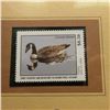 Image 2 : 2005 $8.50 Maine Migratory Waterfowl Stamp depicting the Canada Goose, Absolute mint condition with 