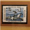 Image 2 : 2005 $10.00 Tennessee Waterfowl Stamp depicting the Mallard, Absolute mint condition with literature