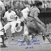 Image 2 : Pete Rose - Fosse Collision