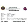 Image 2 : 6.8 ctw Pear Mixed Ruby Parcel