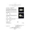 Image 5 : 1.16 ctw Diamond Ring - 14KT Yellow Gold