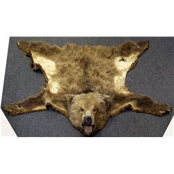 Authentic Bear Rug