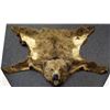 Image 1 : Authentic Bear Rug
