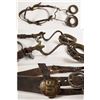 Image 1 : Civil War US Bit and Headstall