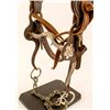 Image 3 : Cowboy Silver Bit on old Bridle w/ Glass Rosettes
