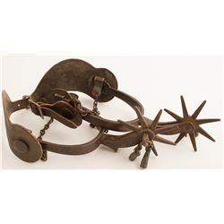 Large California Spurs