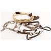Image 1 : Navajo Silver Headstall