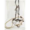 Image 2 : Navajo Silver Headstall