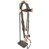 Image 2 : Spade Bit and Headstall with 2 Conchos