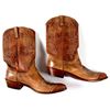 Image 1 : Two Tone Lucchese Cowboy Boots