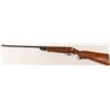 Image 1 : USSR made IJ 22 pump pellet gun