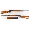 Image 1 : Winchester Model 71 chambered in .348 cal.