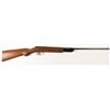 Image 1 : ZV pump action pellet gun