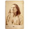 Image 1 : D. F.  Barry Photo of Gall (Battle of Little Bighorn)
