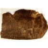 Image 1 : Small Buffalo Robe