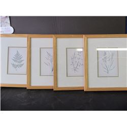 Framed Prints