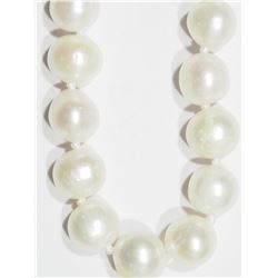 Freshwater Pearl Necklace with Sterling Silver Clasp. Retail $120