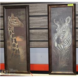 PAIR OF 2 GIRAFFE FRAMED PICTURES 15"X38" EACH