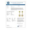 Image 3 : 3.9 CTW Fancy Yellow SI Diamond Earrings 18K Yellow Gold - REF-336M4F - 39119
