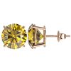 Image 2 : 5 CTW Certified Intense Yellow SI Diamond Solitaire Stud Earrings 10K Rose Gold - REF-1390F5M - 3315
