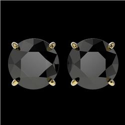 3.10 CTW Fancy Black VS Diamond Solitaire Stud Earrings 10K Yellow Gold - REF-79T5X - 36696