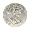 2015 American Silver Eagle Dollar Coin