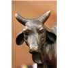 Image 3 : Cow Humped Cattle Bronze Sculpture on Marble Base Figurine