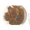 Image 1 : 161-180 A.D. FAUSTINA II ANCIENT COIN