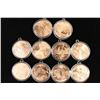 Image 1 : 10 AMERICAN WILDLIFE SERIES COPPER ROUNDS
