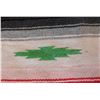 Image 9 : Mexican Blanket