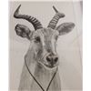 Image 4 : K. Sanders Pencil Art