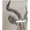 Image 5 : K. Sanders Pencil Art