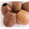Image 4 : Old Gourd Collection