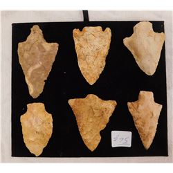 6 Georgia Spearheads