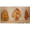 Image 3 : Fossil & Artifact Collection