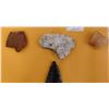 Image 8 : California Artifact Collection