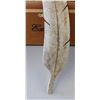 Image 2 : Feather Carving + Collection
